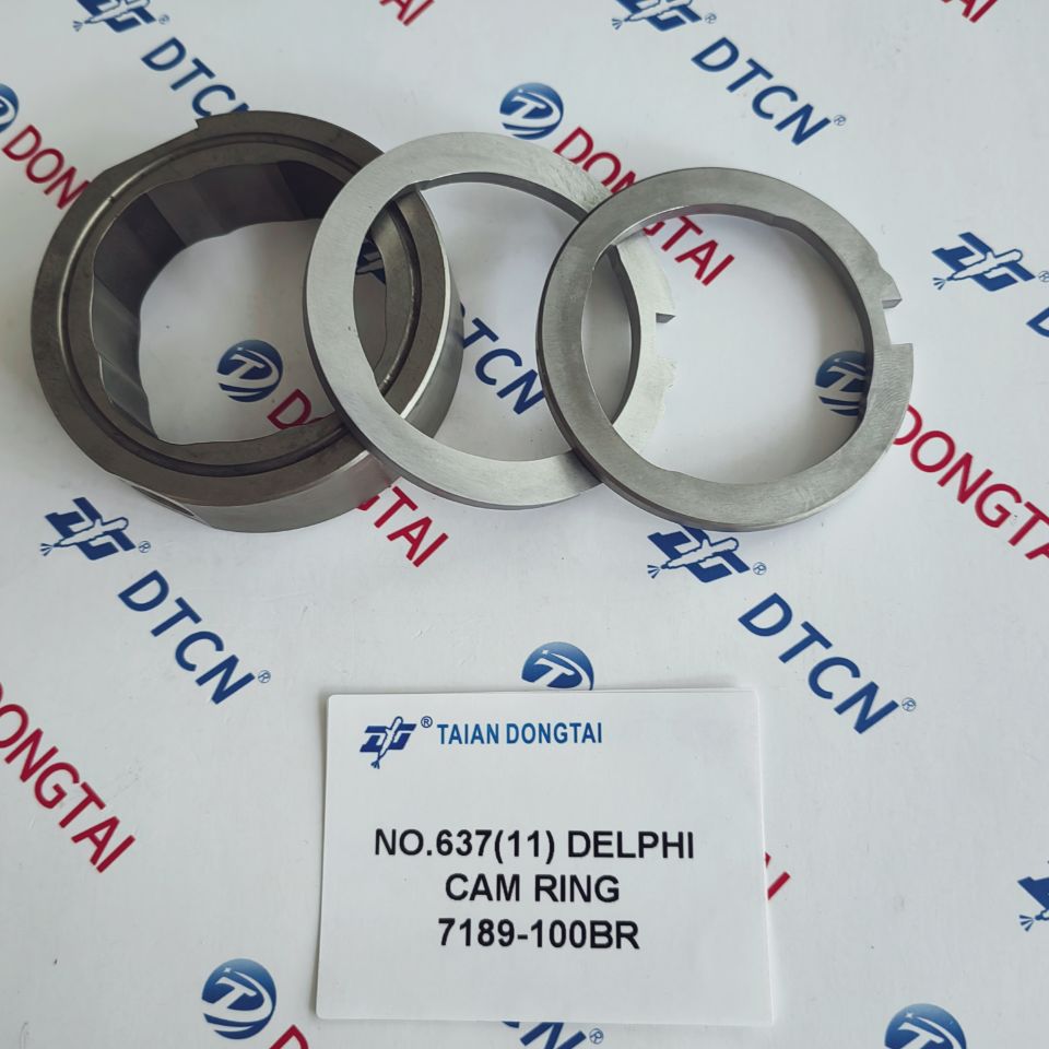 NO.637(11) DELPHI Cam Ring Assembly 7189-100BR